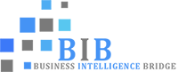 Bib Yazılım Savunma A.Ş. Logo